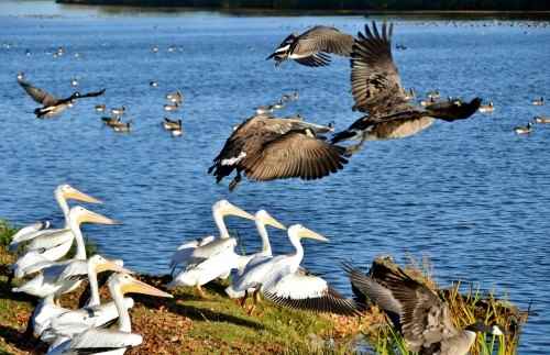 36 Picturesque Moments Only to Be Recreated in Manitoba