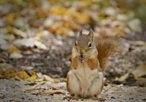 36 Picturesque Moments Only to Be Recreated in Manitoba