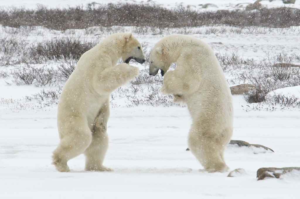 36 Picturesque Moments Only to Be Recreated in Manitoba