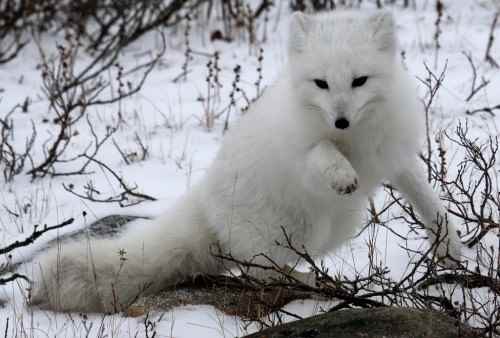 36 Picturesque Moments Only to Be Recreated in Manitoba