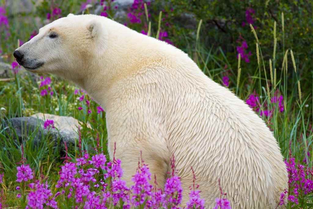 36 Picturesque Moments Only to Be Recreated in Manitoba