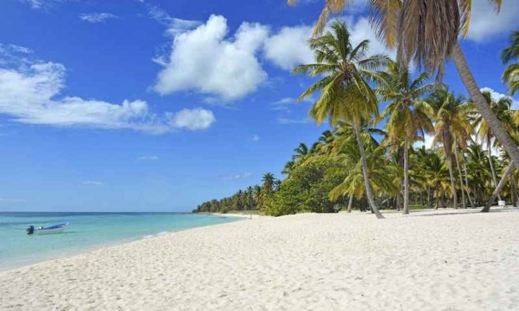 Cheap Flights from Fort McMurray to Punta Cana