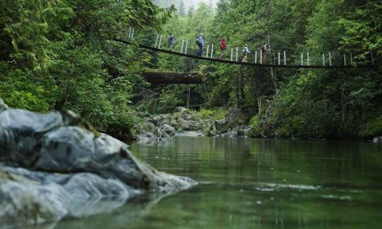 Cheap Flights from Tofino to Vancouver