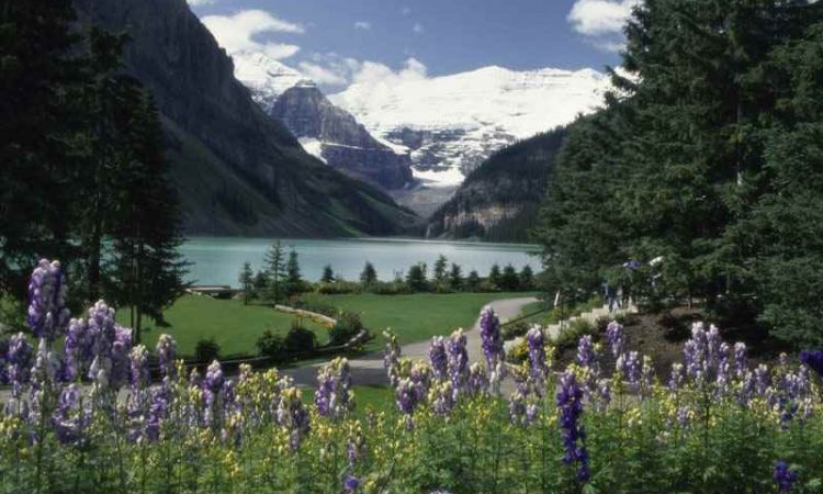 Cheap Flights from Vancouver to Alberta