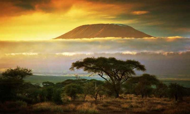 Cheap Flights to Kenya