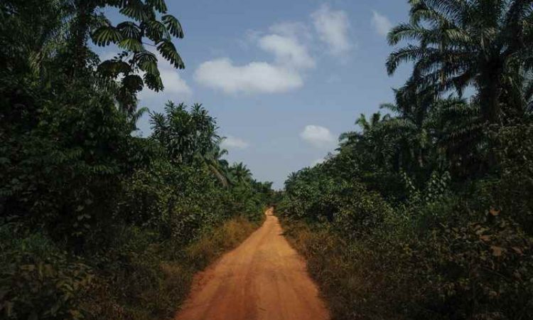 Cheap Flights to Liberia