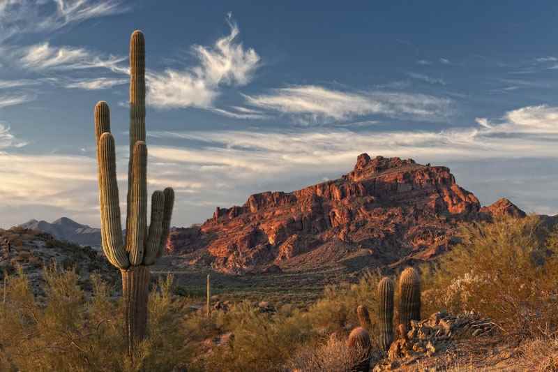 Cheap Flights to Arizona