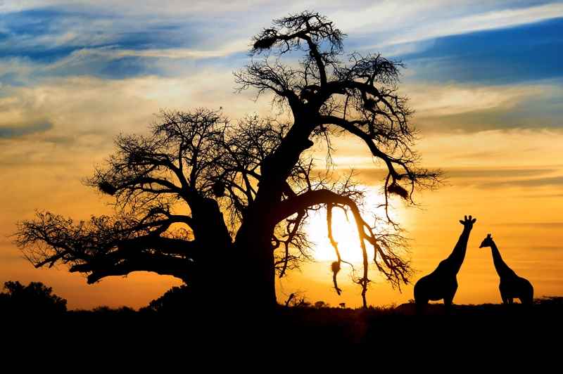 Cheap Flights to South Africa