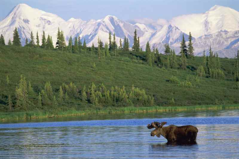 Cheap Flights to Alaska