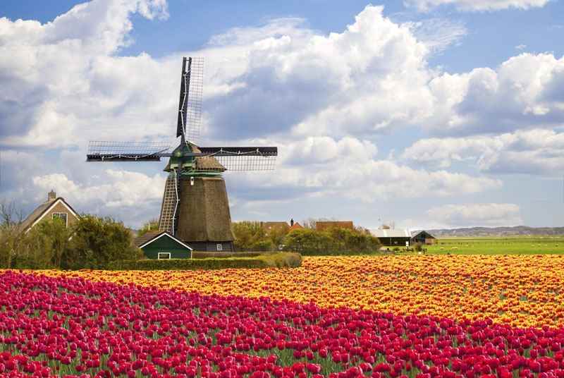 Cheap Flights from Fort St John to Amsterdam