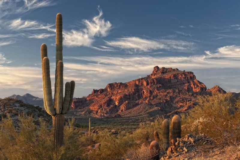 Cheap Flights from Vancouver to Tucson